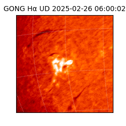 gong - 2025-02-26T06:00:02