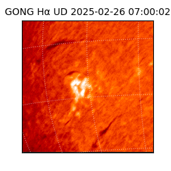 gong - 2025-02-26T07:00:02