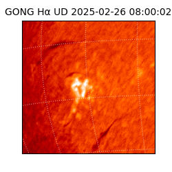 gong - 2025-02-26T08:00:02