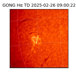 gong - 2025-02-26T09:00:22