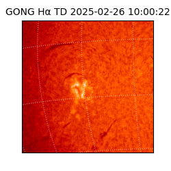 gong - 2025-02-26T10:00:22