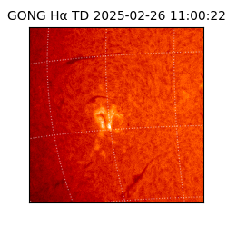 gong - 2025-02-26T11:00:22