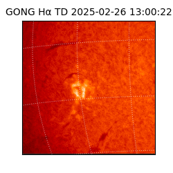 gong - 2025-02-26T13:00:22