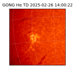 gong - 2025-02-26T14:00:22