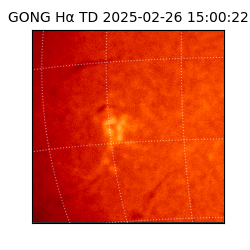 gong - 2025-02-26T15:00:22