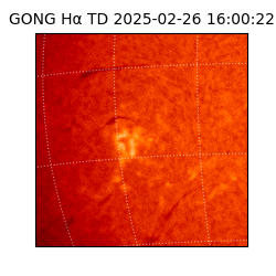 gong - 2025-02-26T16:00:22