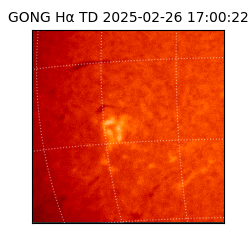 gong - 2025-02-26T17:00:22