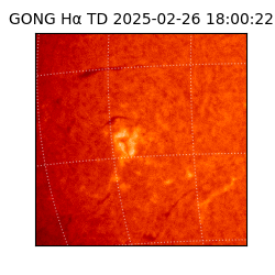 gong - 2025-02-26T18:00:22