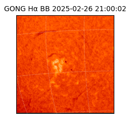 gong - 2025-02-26T21:00:02