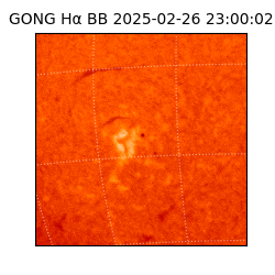 gong - 2025-02-26T23:00:02