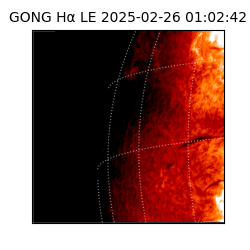 gong - 2025-02-26T01:02:42