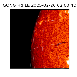 gong - 2025-02-26T02:00:42