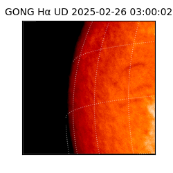 gong - 2025-02-26T03:00:02