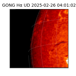 gong - 2025-02-26T04:01:02