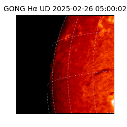 gong - 2025-02-26T05:00:02