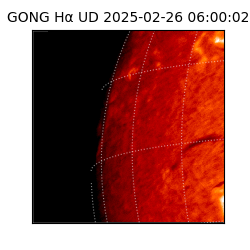 gong - 2025-02-26T06:00:02