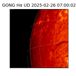 gong - 2025-02-26T07:00:02