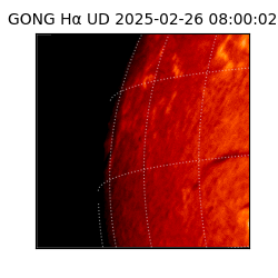gong - 2025-02-26T08:00:02