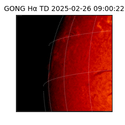 gong - 2025-02-26T09:00:22