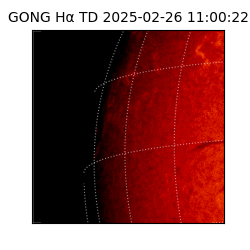 gong - 2025-02-26T11:00:22