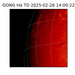 gong - 2025-02-26T14:00:22