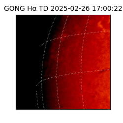 gong - 2025-02-26T17:00:22