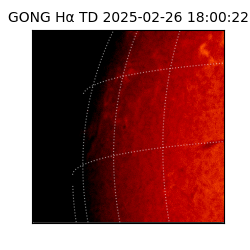 gong - 2025-02-26T18:00:22