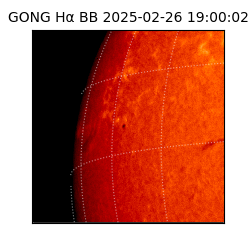 gong - 2025-02-26T19:00:02