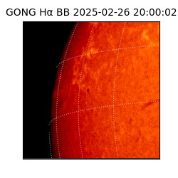gong - 2025-02-26T20:00:02