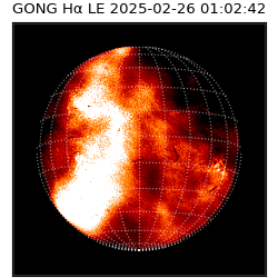 gong - 2025-02-26T01:02:42