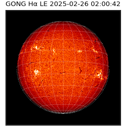 gong - 2025-02-26T02:00:42
