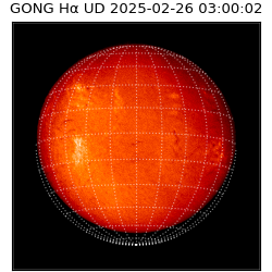 gong - 2025-02-26T03:00:02
