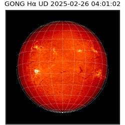 gong - 2025-02-26T04:01:02
