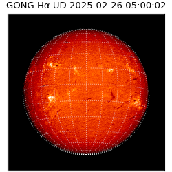 gong - 2025-02-26T05:00:02