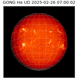 gong - 2025-02-26T07:00:02