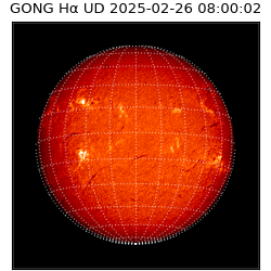 gong - 2025-02-26T08:00:02