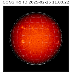 gong - 2025-02-26T11:00:22