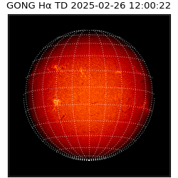 gong - 2025-02-26T12:00:22