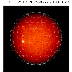 gong - 2025-02-26T13:00:22