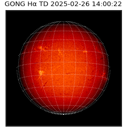 gong - 2025-02-26T14:00:22