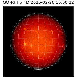 gong - 2025-02-26T15:00:22