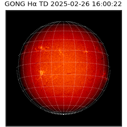 gong - 2025-02-26T16:00:22
