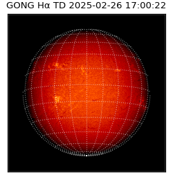 gong - 2025-02-26T17:00:22