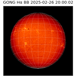 gong - 2025-02-26T20:00:02