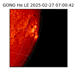 gong - 2025-02-27T07:00:42