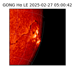 gong - 2025-02-27T05:00:42