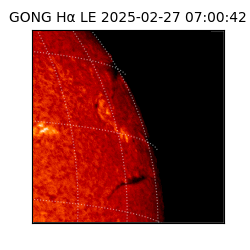 gong - 2025-02-27T07:00:42