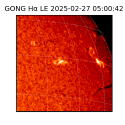gong - 2025-02-27T05:00:42