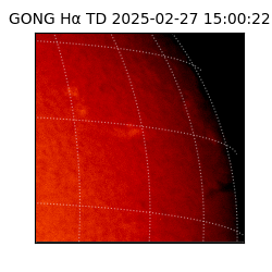 gong - 2025-02-27T15:00:22