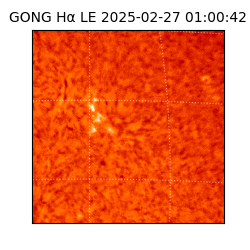 gong - 2025-02-27T01:00:42